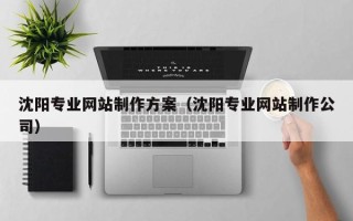 鹿邑沈阳专业网站制作方案（沈阳专业网站制作公司）